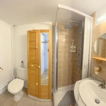 Superbe Renove Avec Clim Et Balcon A 50m De L'etang - Fr-1-529-218