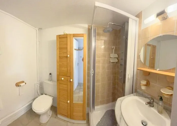 Superbe Renove Avec Clim Et Balcon A 50m De L'etang - Fr-1-529-218